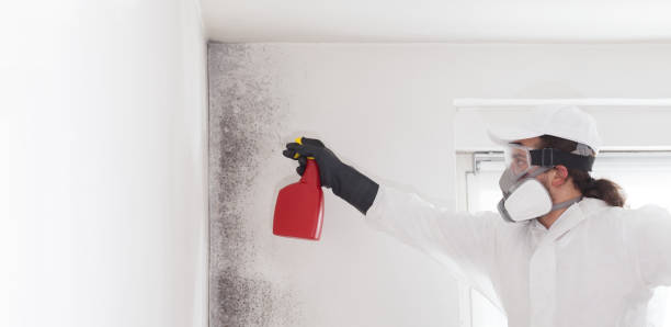 Best Mold Testing  in Holiday Valley, OH